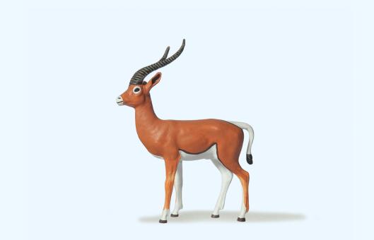 Gazelle 