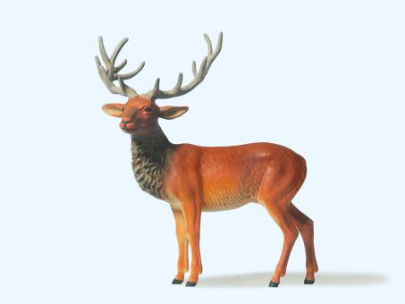 Hirsch stehend 