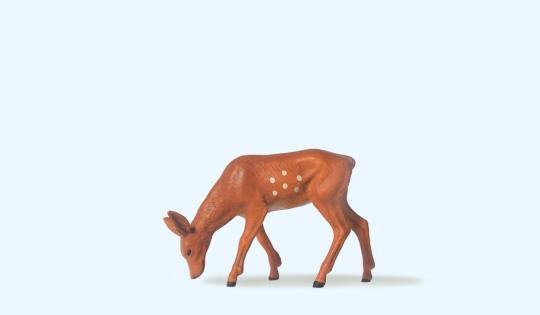 Hirschkalb 