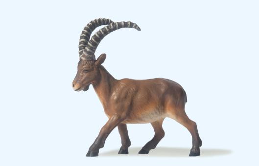 Steinbock 