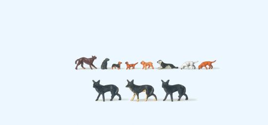 Hunde 