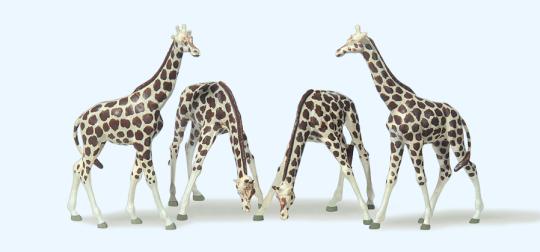 Giraffen 